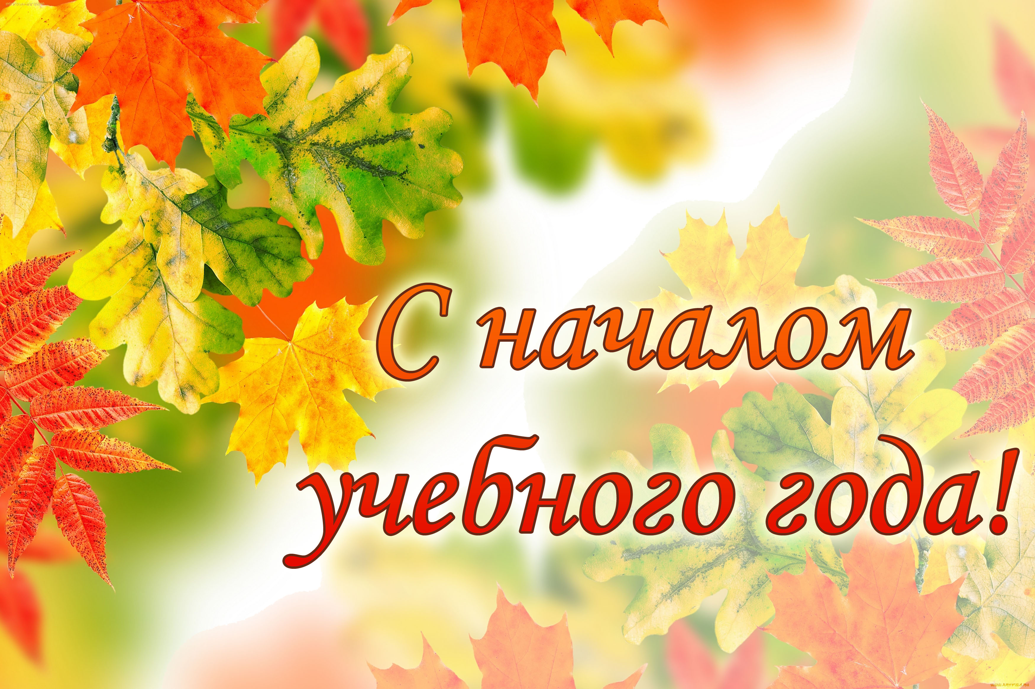 Начало 2024/2025 учебного года